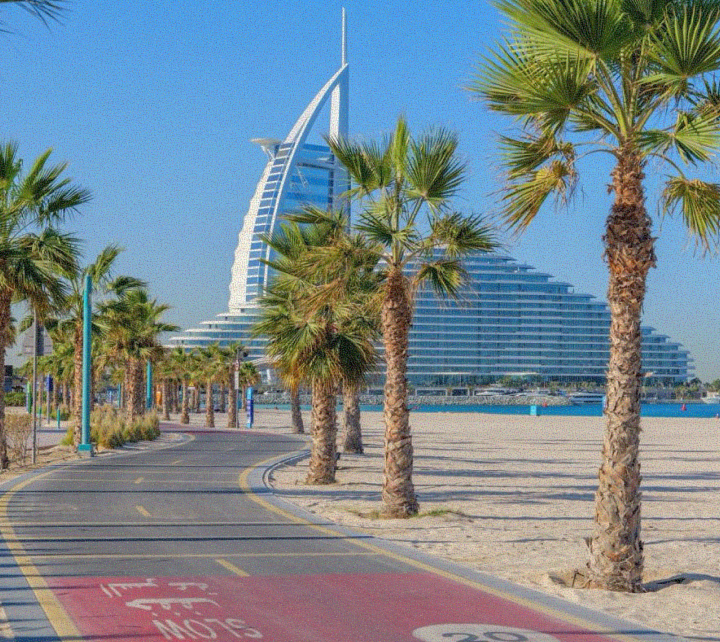 الاختصاصات الرئيسية